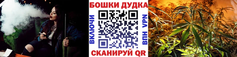 Купить  Тайшет  Канабис планчик 